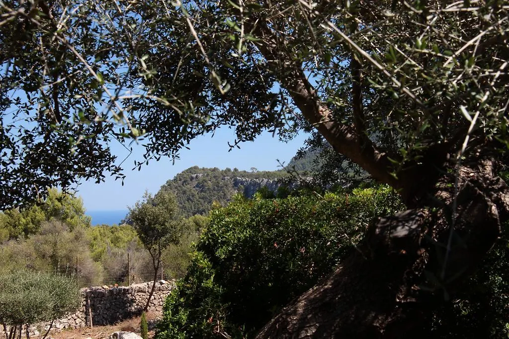 Ca'S Garriguer Villa Valldemossa  Valldemossa (Mallorca)