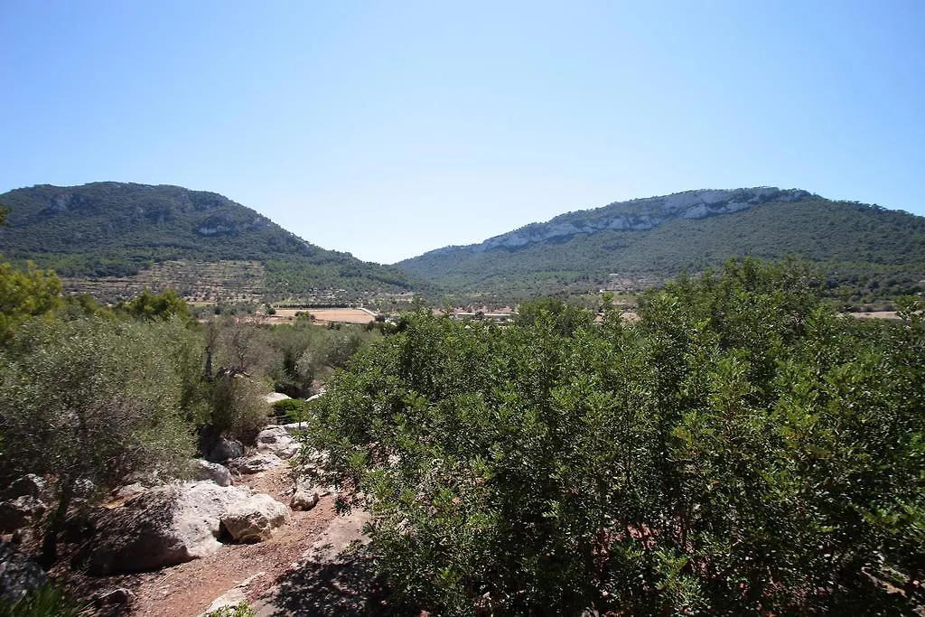 Farm stay Ca'S Garriguer Villa Valldemossa  Spain